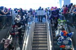 DSC_6186.JPG